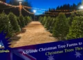 Adelaide Christmas Tree Farms to Buy Christmas Trees This Year