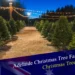 Adelaide Christmas Tree Farms to Buy Christmas Trees This Year