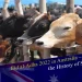 Eid al-Adha 2022 in Australia