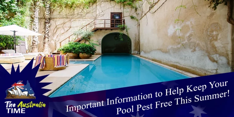 Keep Your Pool Pest Free