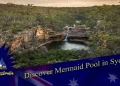 Mermaid Pool Sydney