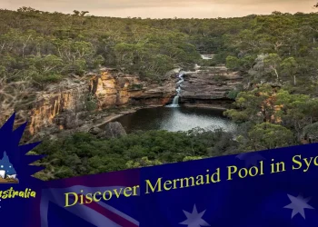 Mermaid Pool Sydney