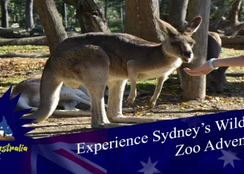 Sydney Wildlife Zoo