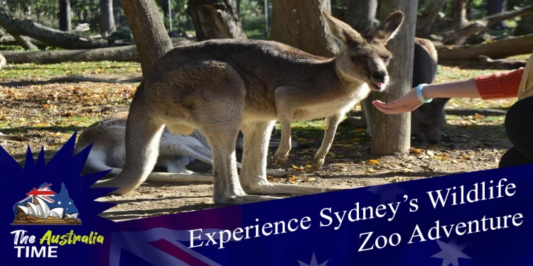 Sydney Wildlife Zoo