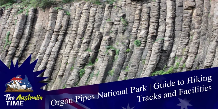 Organ Pipes National Park