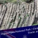 Organ Pipes National Park