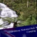 Great Otway National Park Waterfall