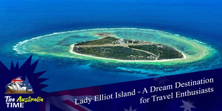Lady Elliot Island