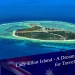 Lady Elliot Island